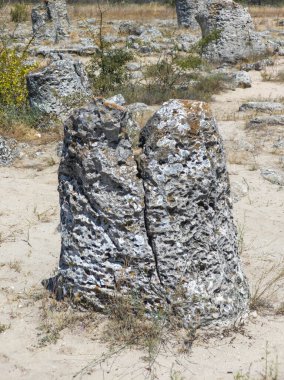 Pobiti Kamani (Upright Stones), Varna bölgesi, Bulgaristan