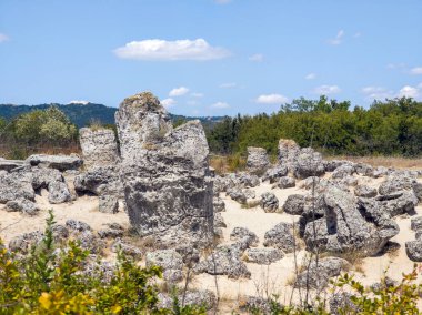Pobiti Kamani (Upright Stones), Varna bölgesi, Bulgaristan