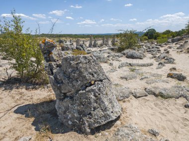 Pobiti Kamani (Upright Stones), Varna bölgesi, Bulgaristan