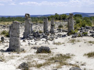 Pobiti Kamani (Upright Stones), Varna bölgesi, Bulgaristan