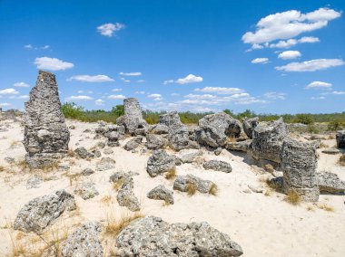 Pobiti Kamani (Upright Stones), Varna bölgesi, Bulgaristan
