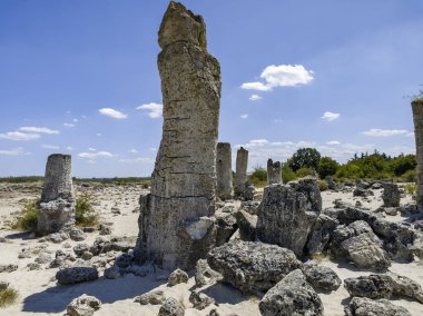 Pobiti Kamani (Upright Stones), Varna bölgesi, Bulgaristan