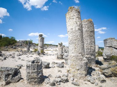 Pobiti Kamani (Upright Stones), Varna bölgesi, Bulgaristan