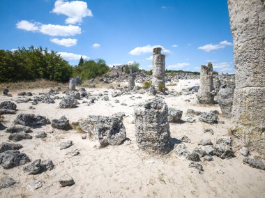 Pobiti Kamani (Upright Stones), Varna bölgesi, Bulgaristan