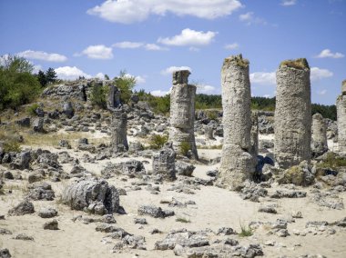 Pobiti Kamani (Upright Stones), Varna bölgesi, Bulgaristan