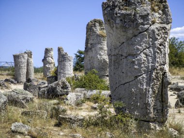 Pobiti Kamani (Upright Stones), Varna bölgesi, Bulgaristan