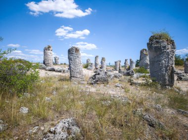 Pobiti Kamani (Upright Stones), Varna bölgesi, Bulgaristan