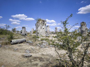 Pobiti Kamani (Upright Stones), Varna bölgesi, Bulgaristan