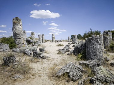Pobiti Kamani (Upright Stones), Varna bölgesi, Bulgaristan