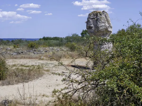Pobiti Kamani (Upright Stones), Varna bölgesi, Bulgaristan