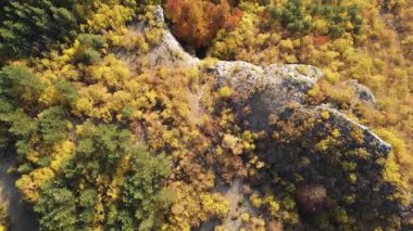 Bulgaristan 'ın Filibe Bölgesi Borovo kasabası yakınlarındaki Rodop dağının şaşırtıcı sonbahar manzarası