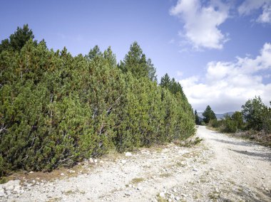 Bulgaristan 'ın Granchar Gölü yakınlarındaki Rila Dağı' nın İnanılmaz Yaz Manzarası