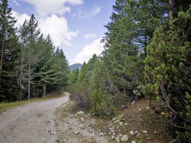 Bulgaristan 'ın Granchar Gölü yakınlarındaki Rila Dağı' nın İnanılmaz Yaz Manzarası