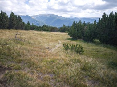 Bulgaristan 'ın Granchar Gölü yakınlarındaki Rila Dağı' nın İnanılmaz Yaz Manzarası