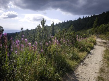 Bulgaristan 'ın Granchar Gölü yakınlarındaki Rila Dağı' nın İnanılmaz Yaz Manzarası