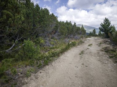 Bulgaristan 'ın Granchar Gölü yakınlarındaki Rila Dağı' nın İnanılmaz Yaz Manzarası