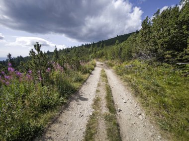 Bulgaristan 'ın Granchar Gölü yakınlarındaki Rila Dağı' nın İnanılmaz Yaz Manzarası