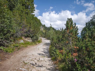 Bulgaristan 'ın Granchar Gölü yakınlarındaki Rila Dağı' nın İnanılmaz Yaz Manzarası