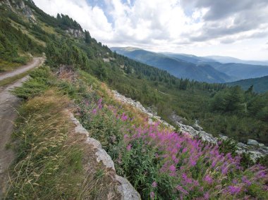 Bulgaristan 'ın Granchar Gölü yakınlarındaki Rila Dağı' nın İnanılmaz Yaz Manzarası