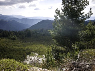Bulgaristan 'ın Granchar Gölü yakınlarındaki Rila Dağı' nın İnanılmaz Yaz Manzarası