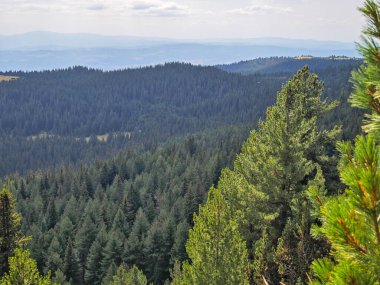 Bulgaristan 'ın Granchar Gölü yakınlarındaki Rila Dağı' nın İnanılmaz Yaz Manzarası