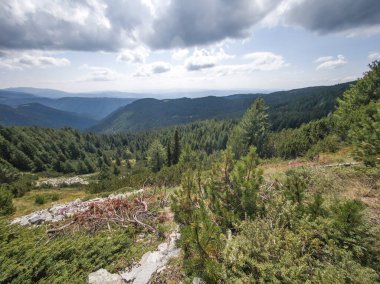 Bulgaristan 'ın Granchar Gölü yakınlarındaki Rila Dağı' nın İnanılmaz Yaz Manzarası