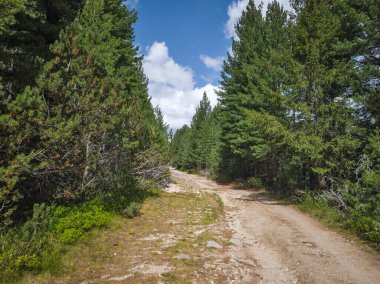 Bulgaristan 'ın Granchar Gölü yakınlarındaki Rila Dağı' nın İnanılmaz Yaz Manzarası
