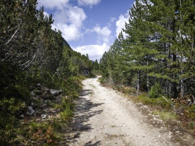 Bulgaristan 'ın Granchar Gölü yakınlarındaki Rila Dağı' nın İnanılmaz Yaz Manzarası