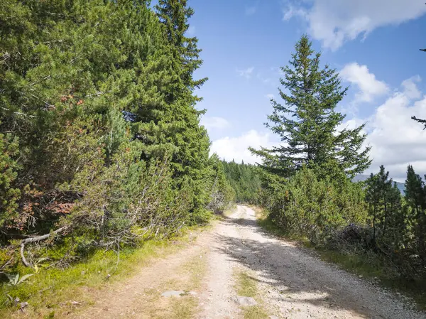 Bulgaristan 'ın Granchar Gölü yakınlarındaki Rila Dağı' nın İnanılmaz Yaz Manzarası