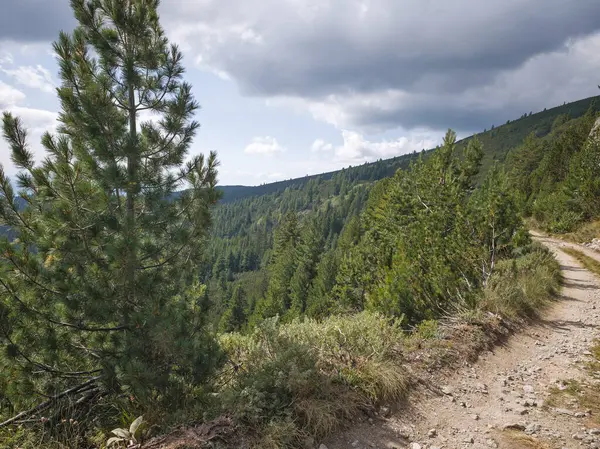 Bulgaristan 'ın Granchar Gölü yakınlarındaki Rila Dağı' nın İnanılmaz Yaz Manzarası