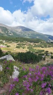 Bulgaristan 'ın Granchar Gölü yakınlarındaki Rila Dağı' nın İnanılmaz Yaz Manzarası