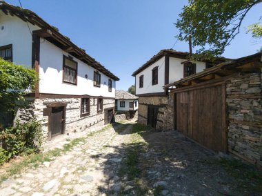 Bulgaristan 'ın Blagoevgrad bölgesindeki Otantik 19. yüzyıl evleriyle Dolen Köyü manzarası