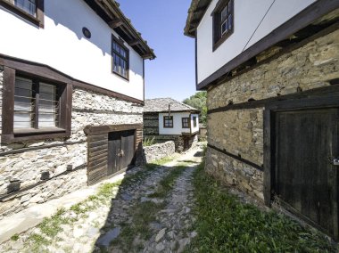 Bulgaristan 'ın Blagoevgrad bölgesindeki Otantik 19. yüzyıl evleriyle Dolen Köyü manzarası