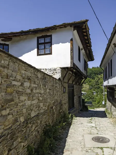 Bulgaristan 'ın Blagoevgrad bölgesindeki Otantik 19. yüzyıl evleriyle Dolen Köyü manzarası