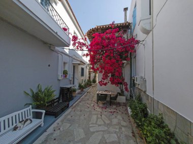 Skiathos, Sporades, Thessaly, Yunanistan 'ın Eski Kasabası' nın Hayret Veren Manzarası