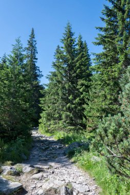 Amazing Summer landscape of Rila Mountain near Malyovitsa peak, Bulgaria