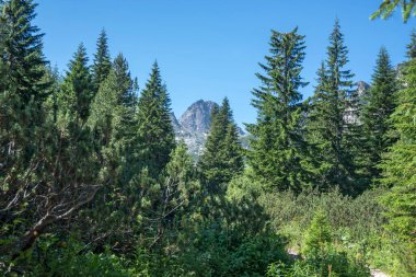 Amazing Summer landscape of Rila Mountain near Malyovitsa peak, Bulgaria