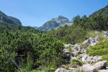 Amazing Summer landscape of Rila Mountain near Malyovitsa peak, Bulgaria