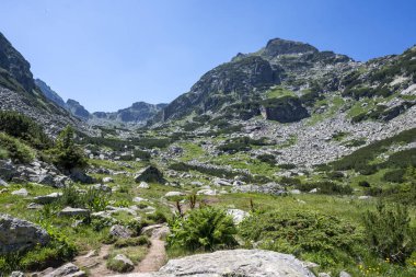 Amazing Summer landscape of Rila Mountain near Malyovitsa peak, Bulgaria