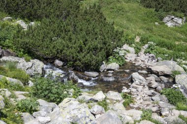 Amazing Summer landscape of Rila Mountain near Malyovitsa peak, Bulgaria