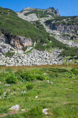 Amazing Summer landscape of Rila Mountain near Malyovitsa peak, Bulgaria