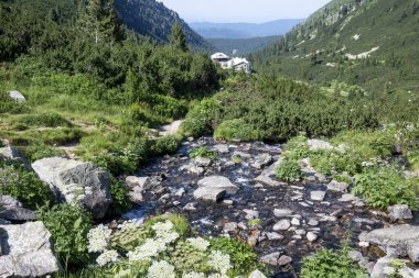 Amazing Summer landscape of Rila Mountain near Malyovitsa peak, Bulgaria