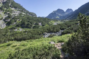 Amazing Summer landscape of Rila Mountain near Malyovitsa peak, Bulgaria
