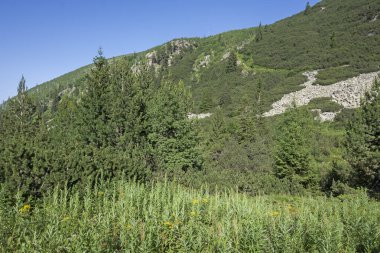 Amazing Summer landscape of Rila Mountain near Malyovitsa peak, Bulgaria