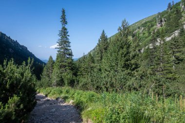 Amazing Summer landscape of Rila Mountain near Malyovitsa peak, Bulgaria