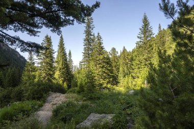 Amazing Summer landscape of Rila Mountain near Malyovitsa peak, Bulgaria