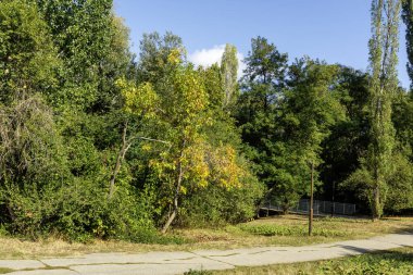 Bulgaristan 'ın Sofya kentindeki South Park' ın Muhteşem Sonbahar Manzarası