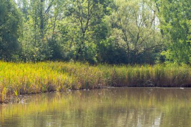 Bulgaristan 'ın Sofya kentindeki South Park' ın Muhteşem Sonbahar Manzarası