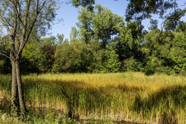 Bulgaristan 'ın Sofya kentindeki South Park' ın Muhteşem Sonbahar Manzarası