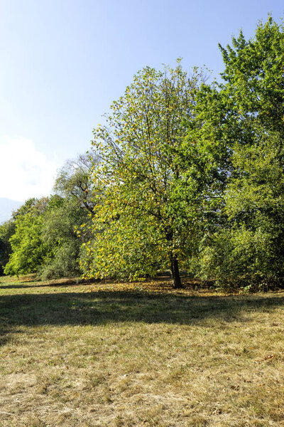 Удивительный осенний пейзаж Южного парка в городе София, Болгария